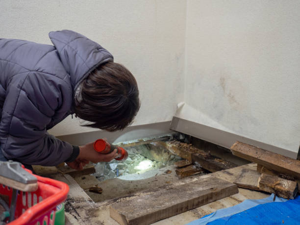 Best Forensic Mold Investigation  in Gahanna, OH