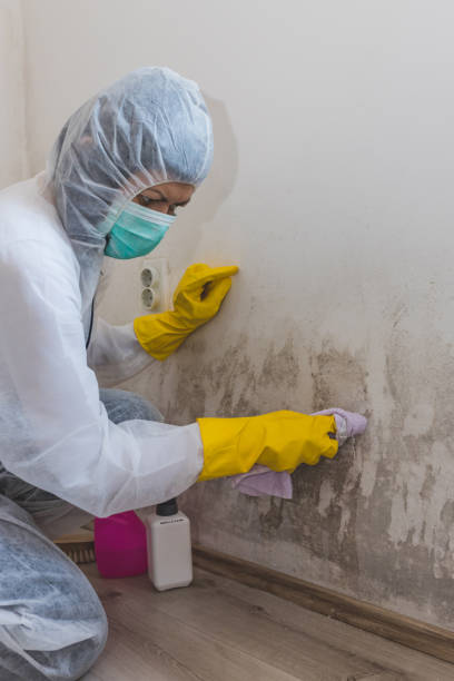 Best Residential Mold Inspection & Testing  in Gahanna, OH