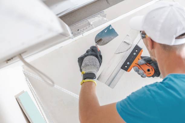 Environmental Consulting for Mold Prevention in Gahanna, OH